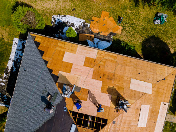 Best Roof Gutter Cleaning  in , MA